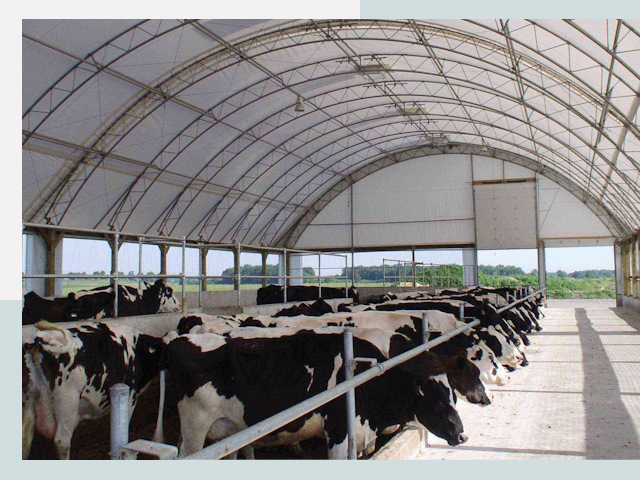 Тентовые коровники в Верхней Пышме